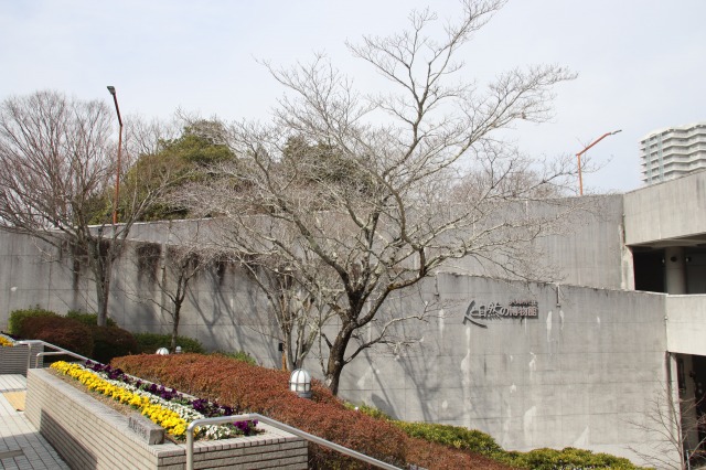 せかいすずめのひ260320 - 兵庫県立人と自然の博物館（ひとはく） ひと